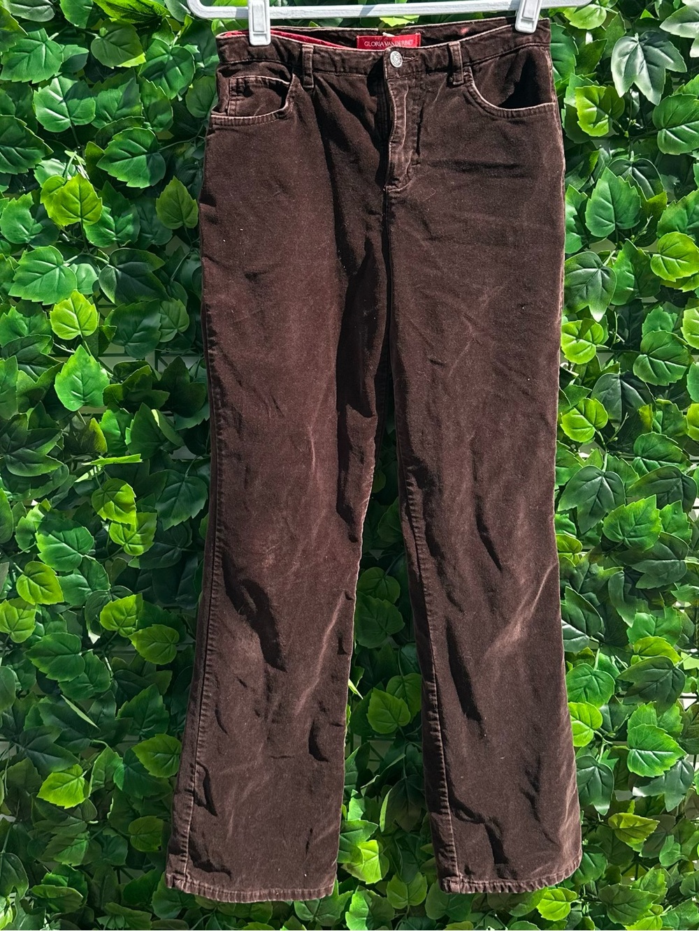 Gloria Vanderbilt Corduroy Pants in Dark Brown